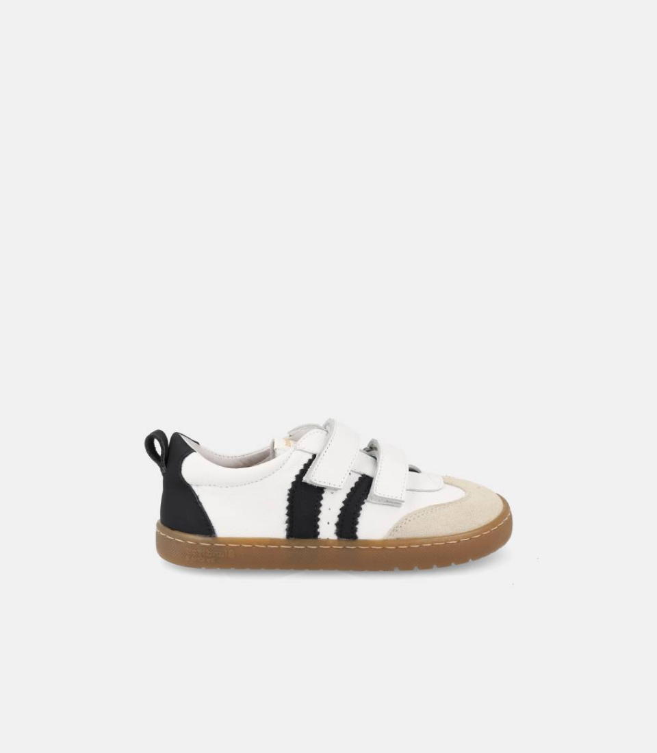 Blanditos - Delfin Branco