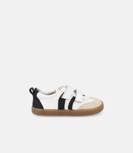 Blanditos - Delfin Branco