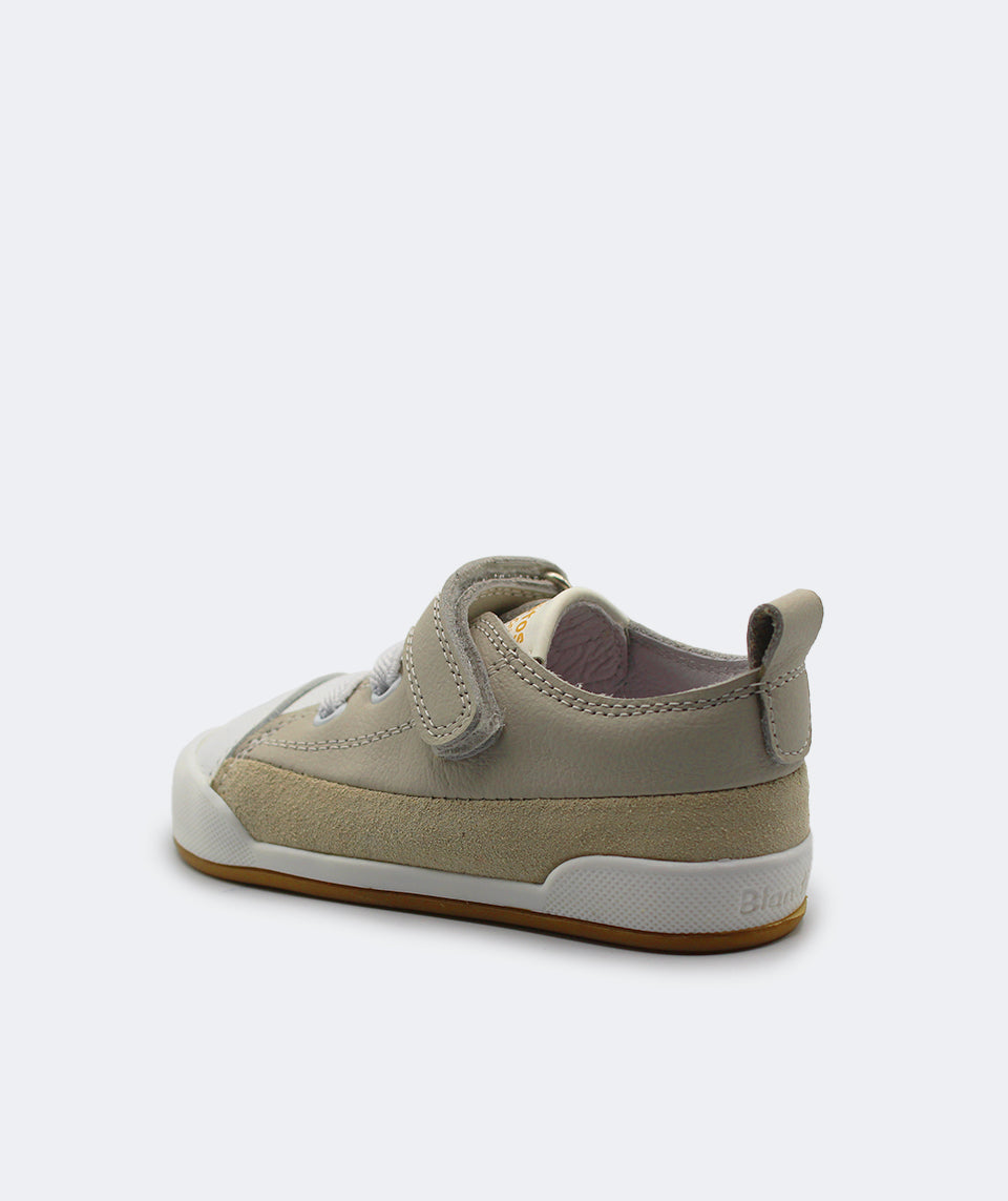 Blanditos - Galeón Verde